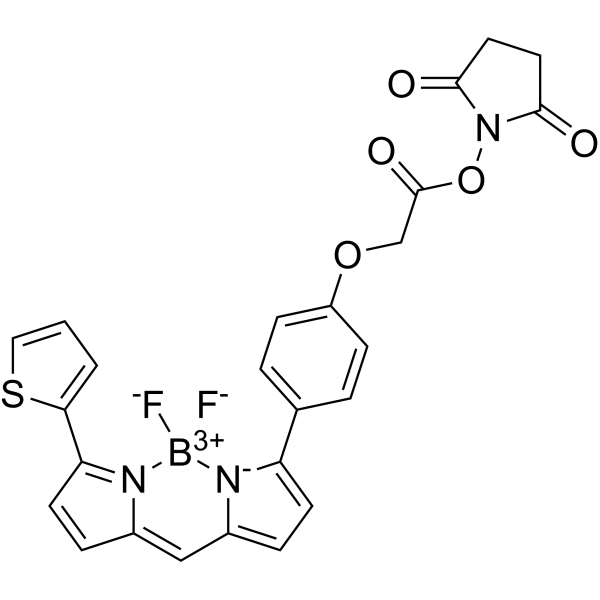 Bdp tr nhs ester 150152-65-1